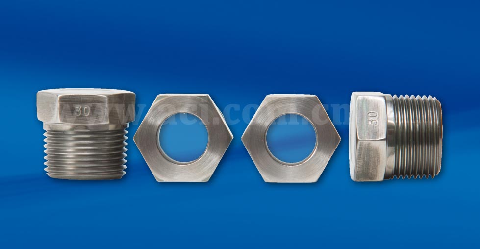 CANTY NPT螺纹连接FUSEVIEW™视镜