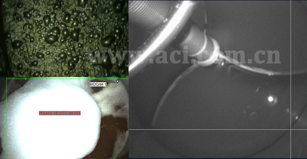 CANTY非接触式液位和泡沫控制系统