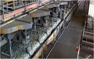 ��ĭ��ѡӦ��