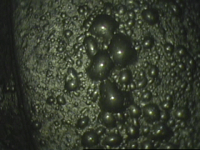 CANTY����ϵͳ����ĭ��ѡ�е�Ӧ��